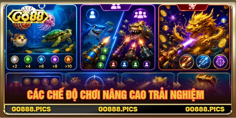 Chế độ trải nghiệm giúp hội viên lựa chọn theo sở thích