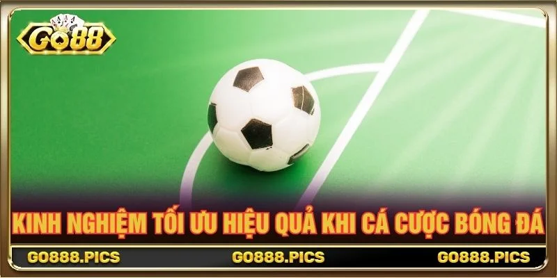 Kinh nghiệm tối ưu hiệu quả khi cá cược bóng đá